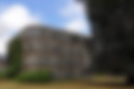 Moore Park Residence by Drew Mandel